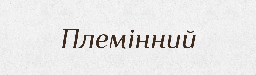 Племінний — Великий тлумачний словник сучасної української мови