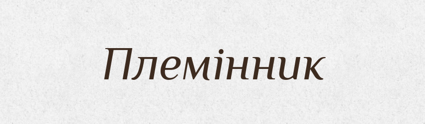 Племінник — Великий тлумачний словник сучасної української мови