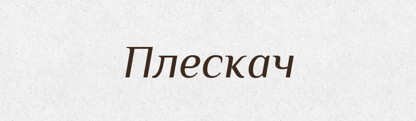 Плескач — Великий тлумачний словник сучасної української мови