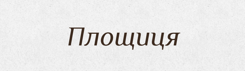 Площиця — Великий тлумачний словник сучасної української мови