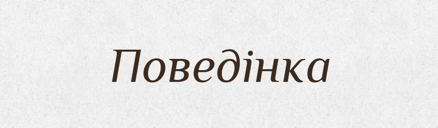Поведінка — Великий тлумачний словник сучасної української мови