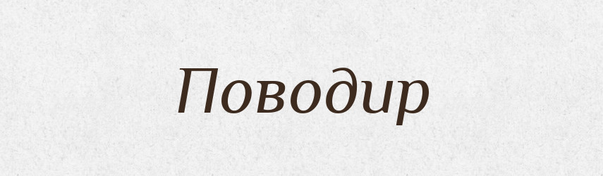 Поводир — Великий тлумачний словник сучасної української мови