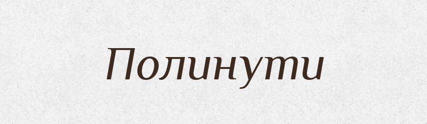 Полинути — Великий тлумачний словник сучасної української мови