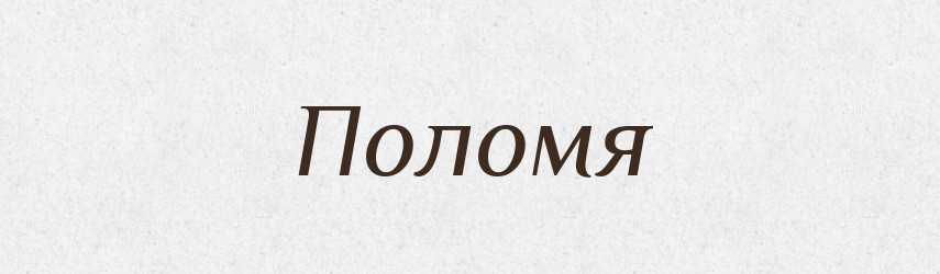 Поломя — Великий тлумачний словник сучасної української мови