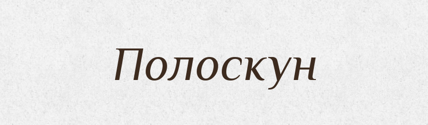 Полоскун — Великий тлумачний словник сучасної української мови