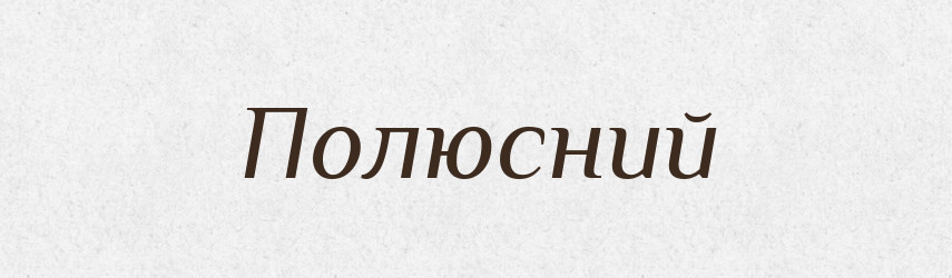 Полюсний — Великий тлумачний словник сучасної української мови