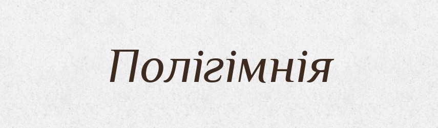 Полігімнія — Великий тлумачний словник сучасної української мови