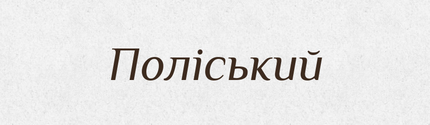 Поліський — Великий тлумачний словник сучасної української мови