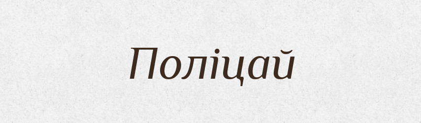 Поліцай — Великий тлумачний словник сучасної української мови
