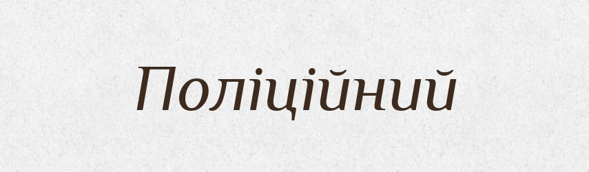 Поліційний — Великий тлумачний словник сучасної української мови