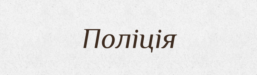 Поліція — Великий тлумачний словник сучасної української мови