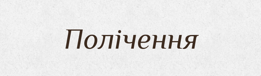 Полічення — Великий тлумачний словник сучасної української мови