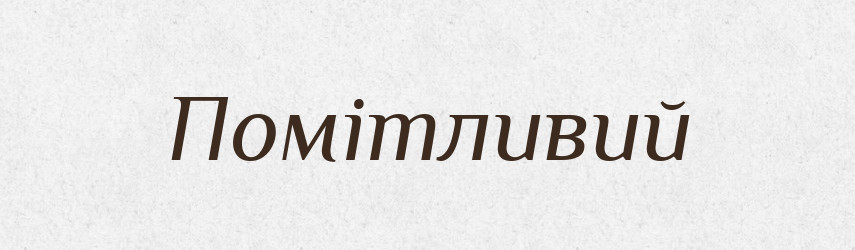 Помітливий — Великий тлумачний словник сучасної української мови