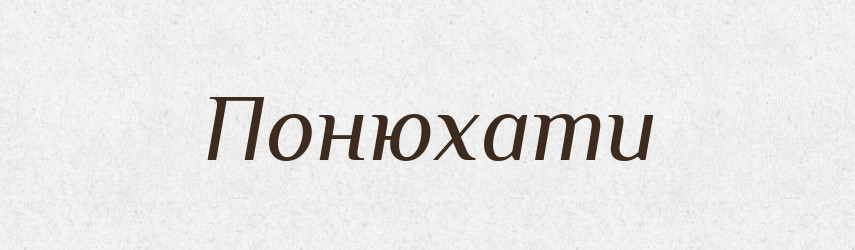 Понюхати — Великий тлумачний словник сучасної української мови