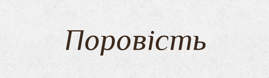 Поровість — Великий тлумачний словник сучасної української мови