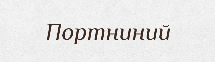Портниний — Великий тлумачний словник сучасної української мови