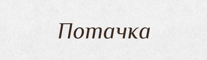 Потачка — Великий тлумачний словник сучасної української мови