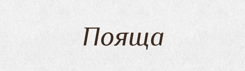 Пояща — Великий тлумачний словник сучасної української мови