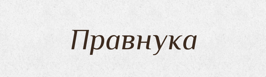 Правнука — Великий тлумачний словник сучасної української мови