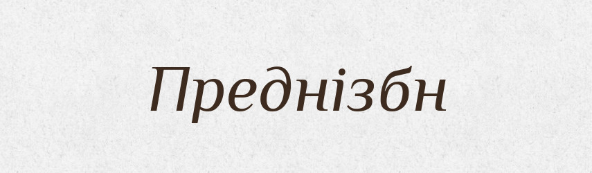 Преднізбн — Великий тлумачний словник сучасної української мови