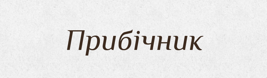 Прибічник — Великий тлумачний словник сучасної української мови