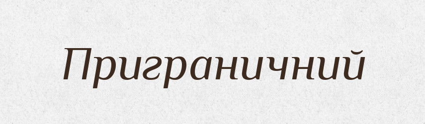 Приграничний — Великий тлумачний словник сучасної української мови