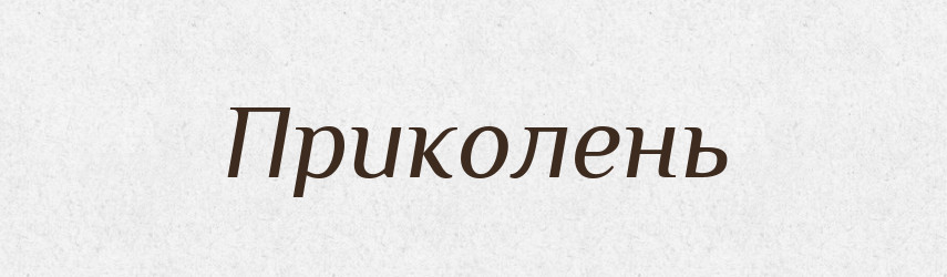 Приколень — Великий тлумачний словник сучасної української мови