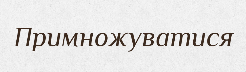 Примножуватися — Великий тлумачний словник сучасної української мови