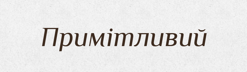 Примітливий — Великий тлумачний словник сучасної української мови