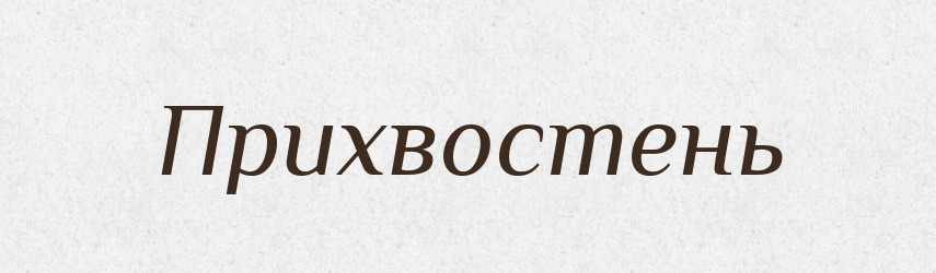 Прихвостень — Великий тлумачний словник сучасної української мови