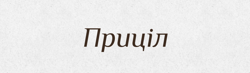 Приціл — Великий тлумачний словник сучасної української мови
