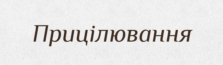 Прицілювання — Великий тлумачний словник сучасної української мови