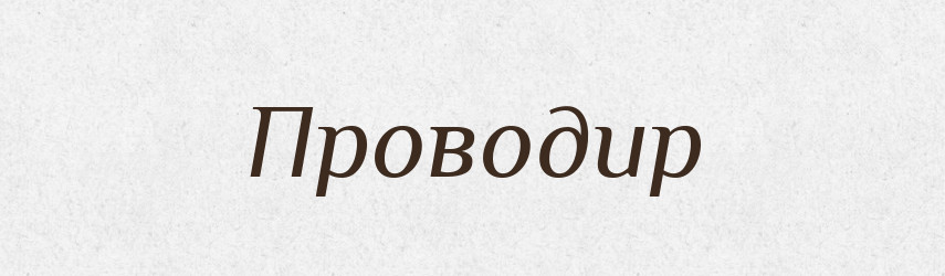Проводир — Великий тлумачний словник сучасної української мови