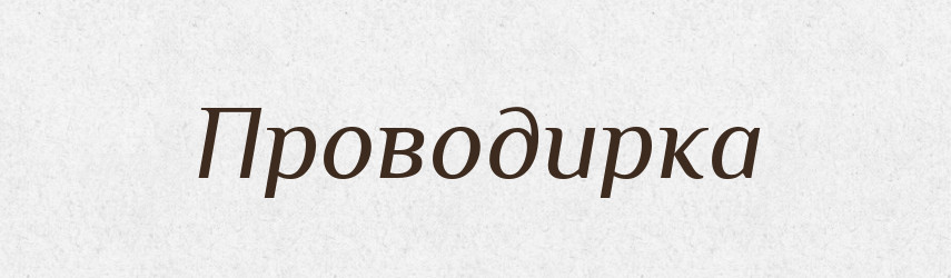Проводирка — Великий тлумачний словник сучасної української мови