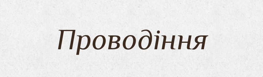 Проводіння — Великий тлумачний словник сучасної української мови