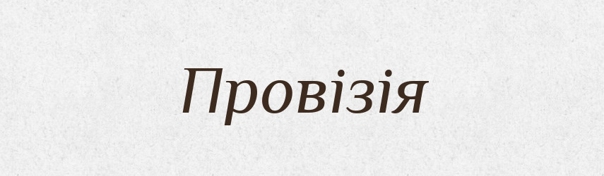 Провізія — Великий тлумачний словник сучасної української мови