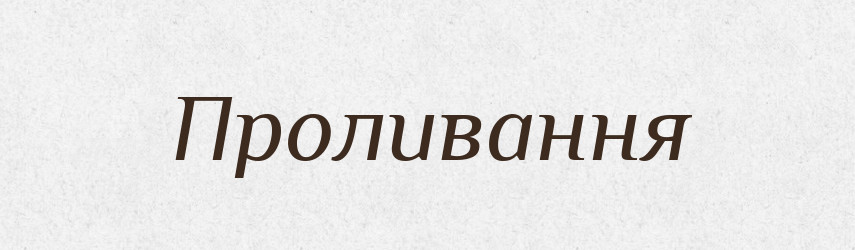 Проливання — Великий тлумачний словник сучасної української мови