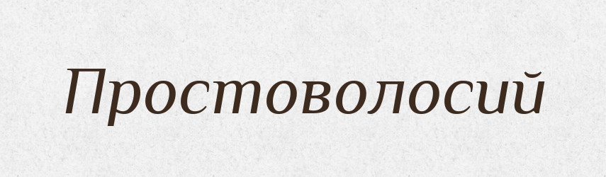 Простоволосий — Великий тлумачний словник сучасної української мови