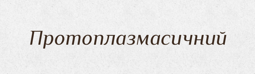 Протоплазмасичний — Великий тлумачний словник сучасної української мови