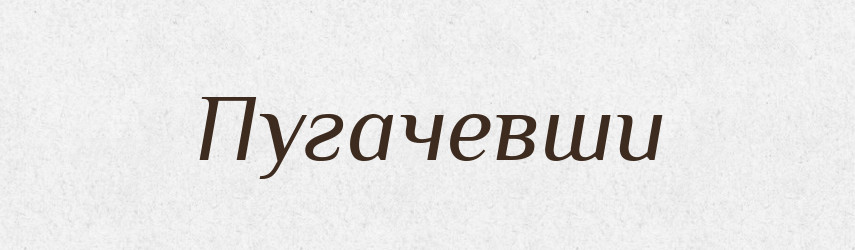 Пугачевши — Великий тлумачний словник сучасної української мови