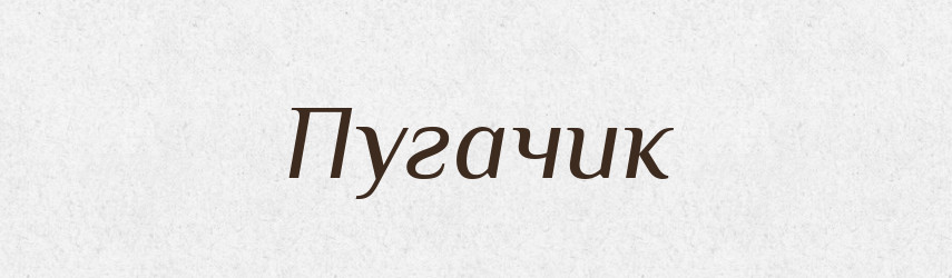 Пугачик — Великий тлумачний словник сучасної української мови