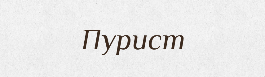 Пурист — Великий тлумачний словник сучасної української мови