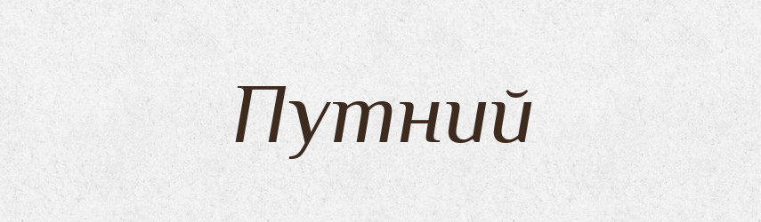 Путний — Великий тлумачний словник сучасної української мови