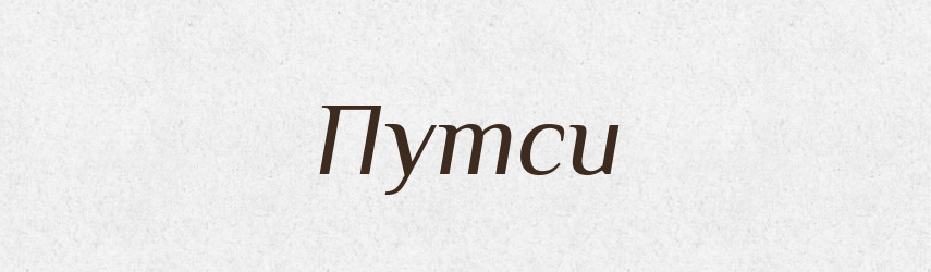 Путси — Великий тлумачний словник сучасної української мови