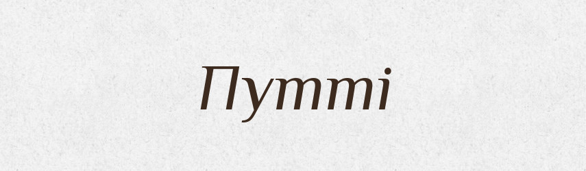Путті — Великий тлумачний словник сучасної української мови