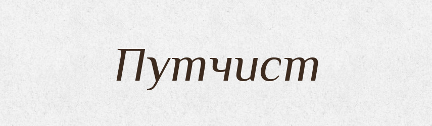 Путчист — Великий тлумачний словник сучасної української мови