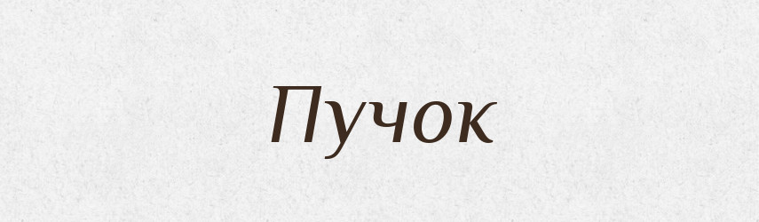 Пучок — Великий тлумачний словник сучасної української мови