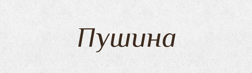 Пушина — Великий тлумачний словник сучасної української мови