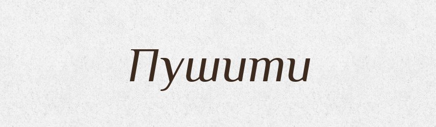 Пушити — Великий тлумачний словник сучасної української мови