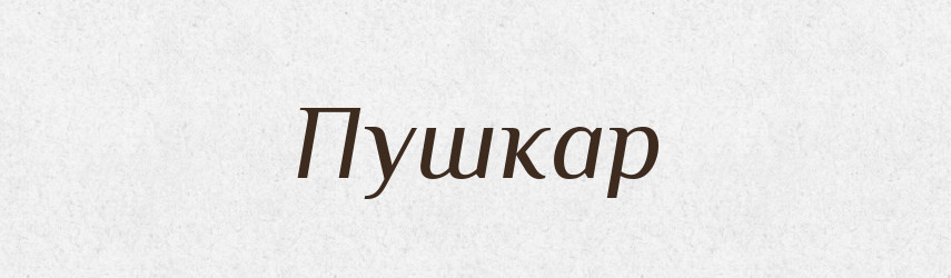 Пушкар — Великий тлумачний словник сучасної української мови